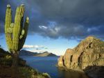 Danzante_Island_Sea
