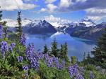 Garibaldi_Lake_Gar