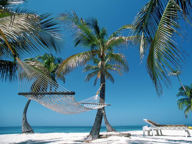 Hammock_and_Palms_No
