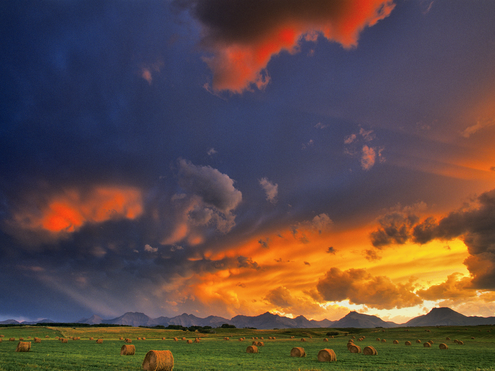 Hay_Bales_at_Sun