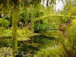 Monets_Garden