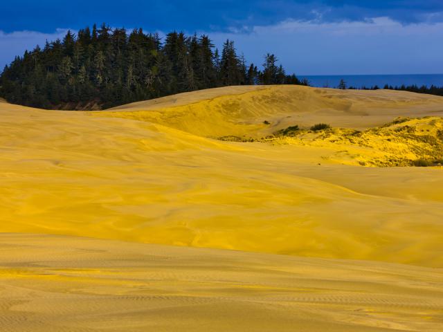 Oregon_Dunes