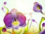 Liquid_Flowers