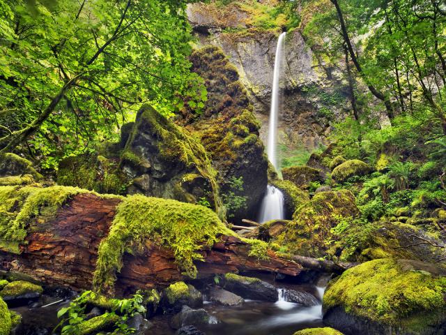 Elowah_Falls_Co