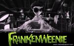 frankenweenie_10