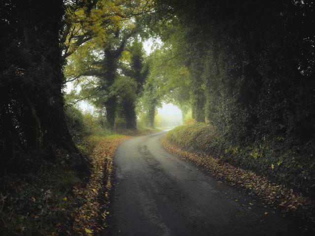 Country_Lane_in