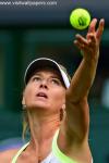 sharapova_40