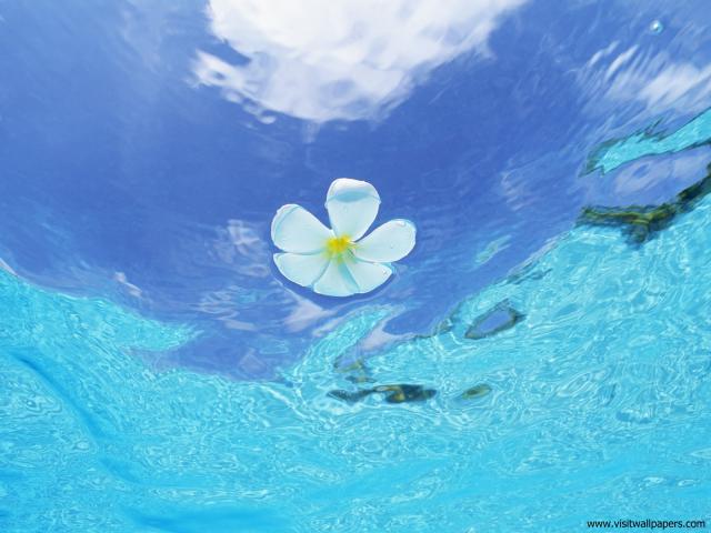 Nature_015