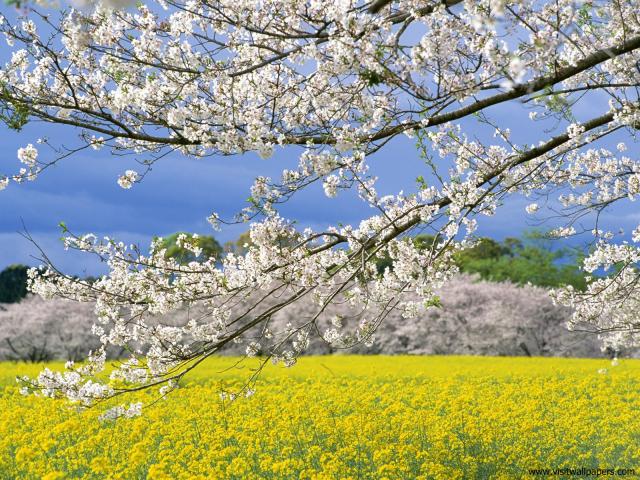 Nature_040