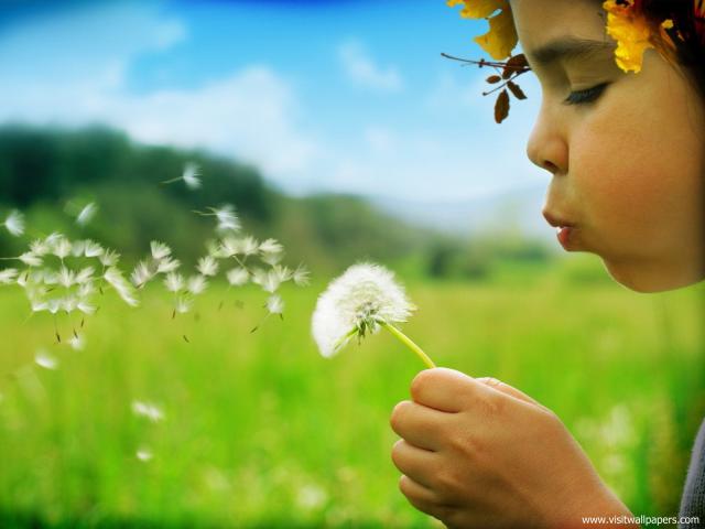 Nature_057