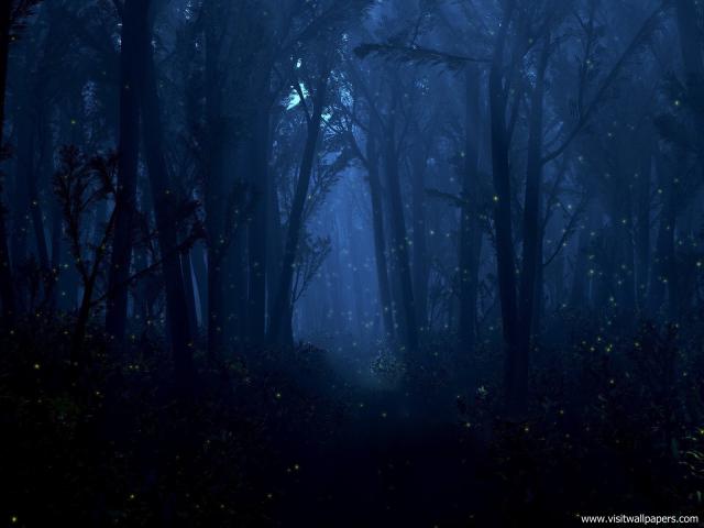 Nature_067