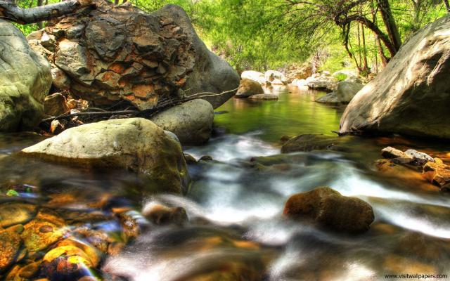 Nature_070
