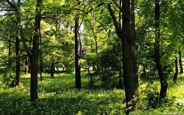 Nature_072