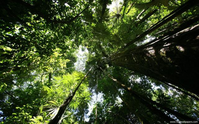 Nature_074