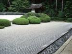 Nature_079