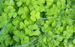Nature_084