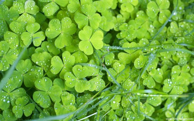 Nature_084