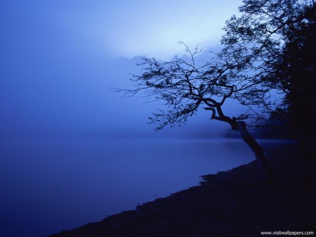 Nature_092