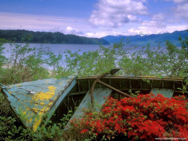 Nature_096