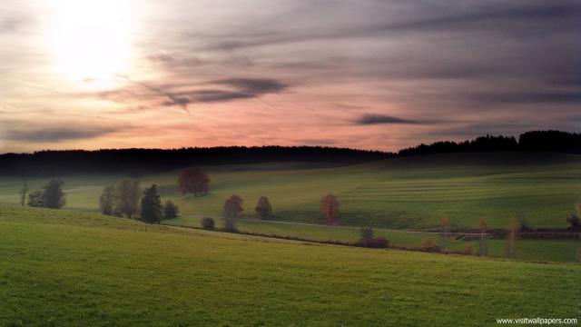 Nature_111