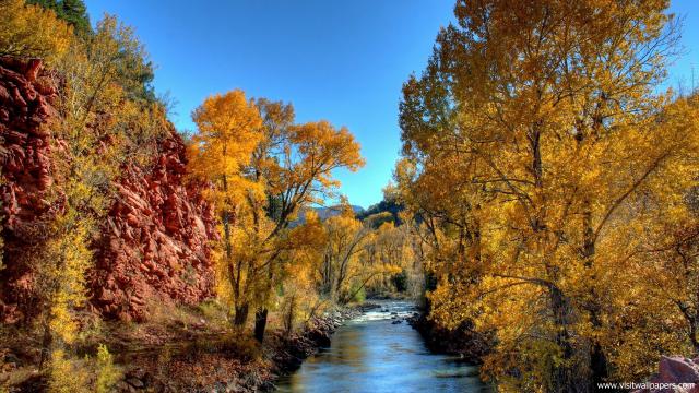 Nature_121