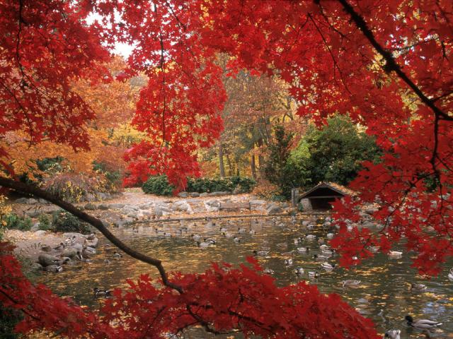 Nature_150