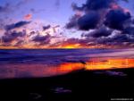 Nature_151