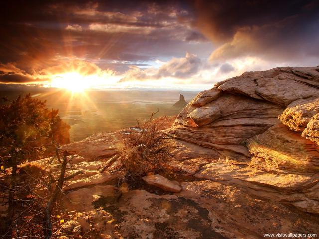 Nature_158