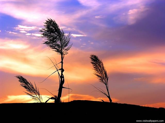 Nature_160