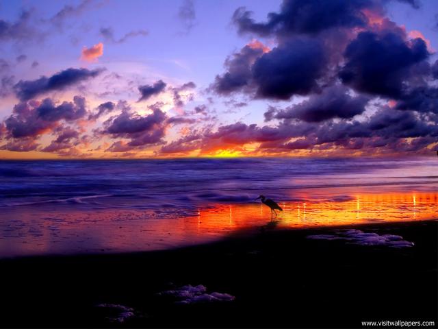 Nature_166
