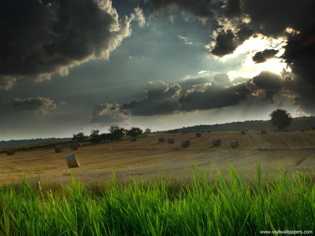 Nature_171