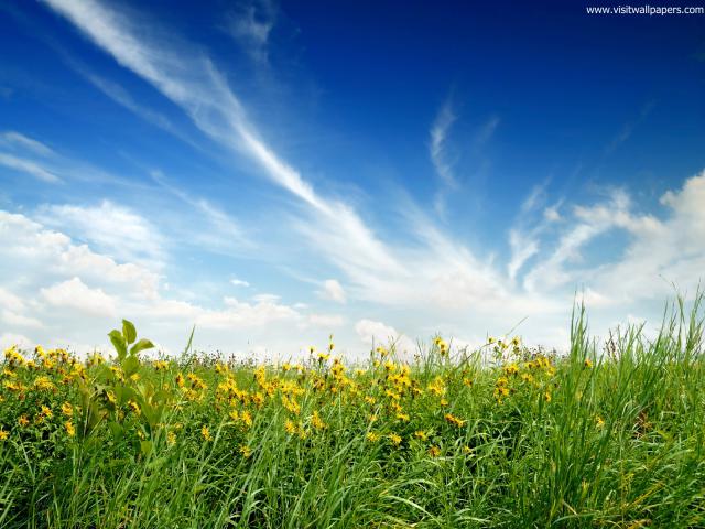 Nature_175