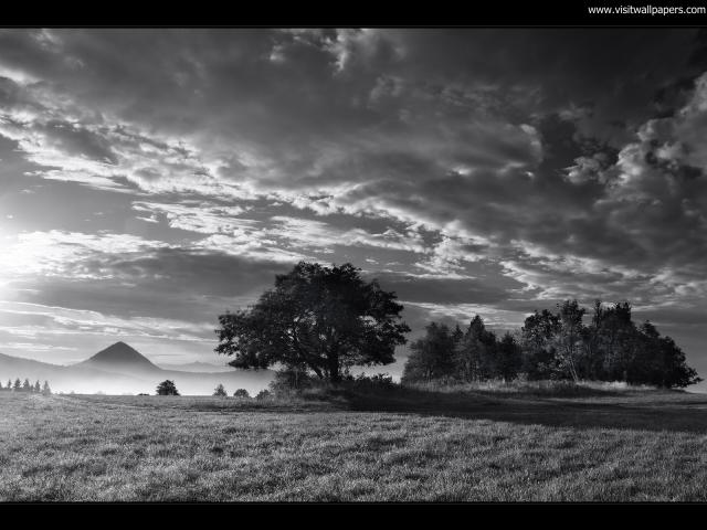 Nature_190