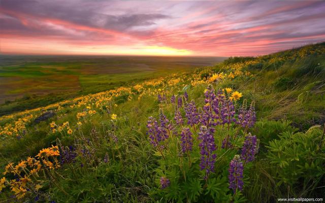 Nature_200