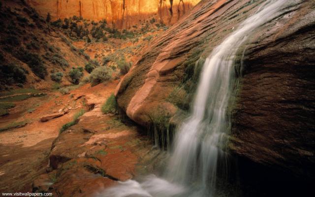 Nature_220
