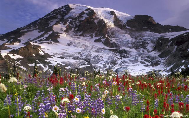 mountains_217