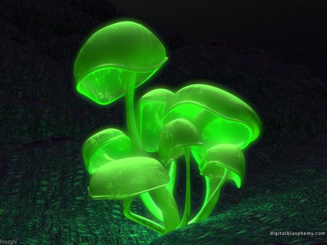 green_022