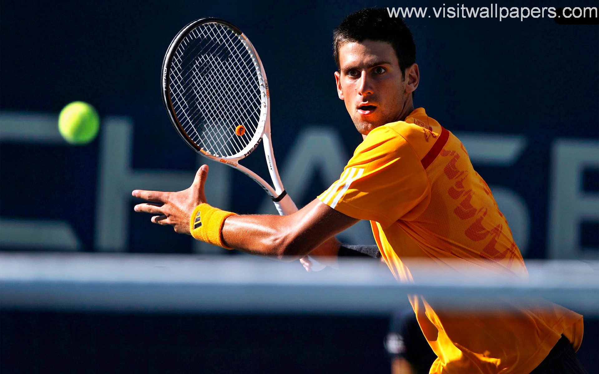 Novak_Djokovic_10