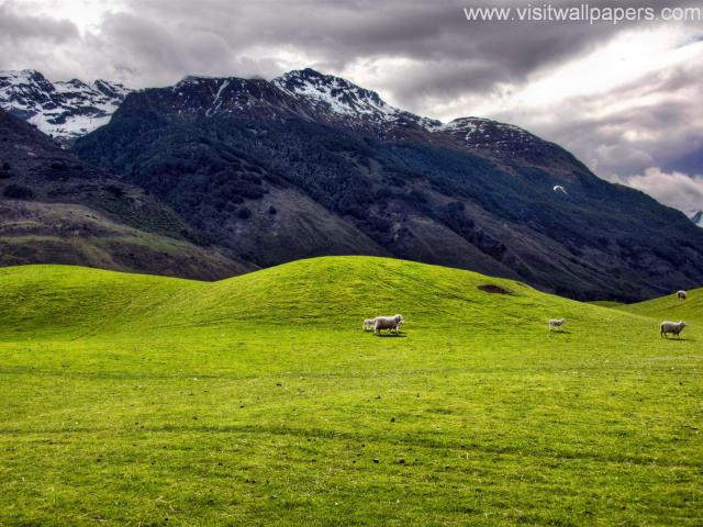 New_Zealand_042
