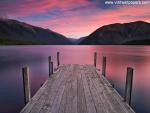 New_Zealand_060