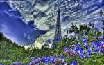 France_077