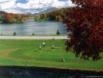 Golf_Course_01