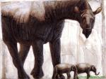 Animals_369