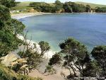 New_Zealand_062