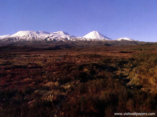 New_Zealand_072