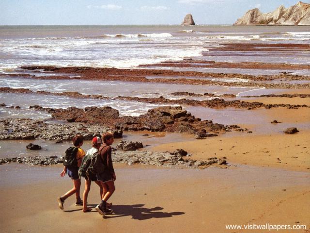 New_Zealand_088