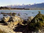 New_Zealand_091