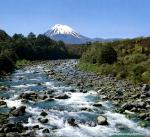 New_Zealand_106