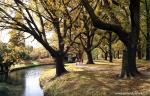 New_Zealand_107