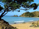 New_Zealand_132